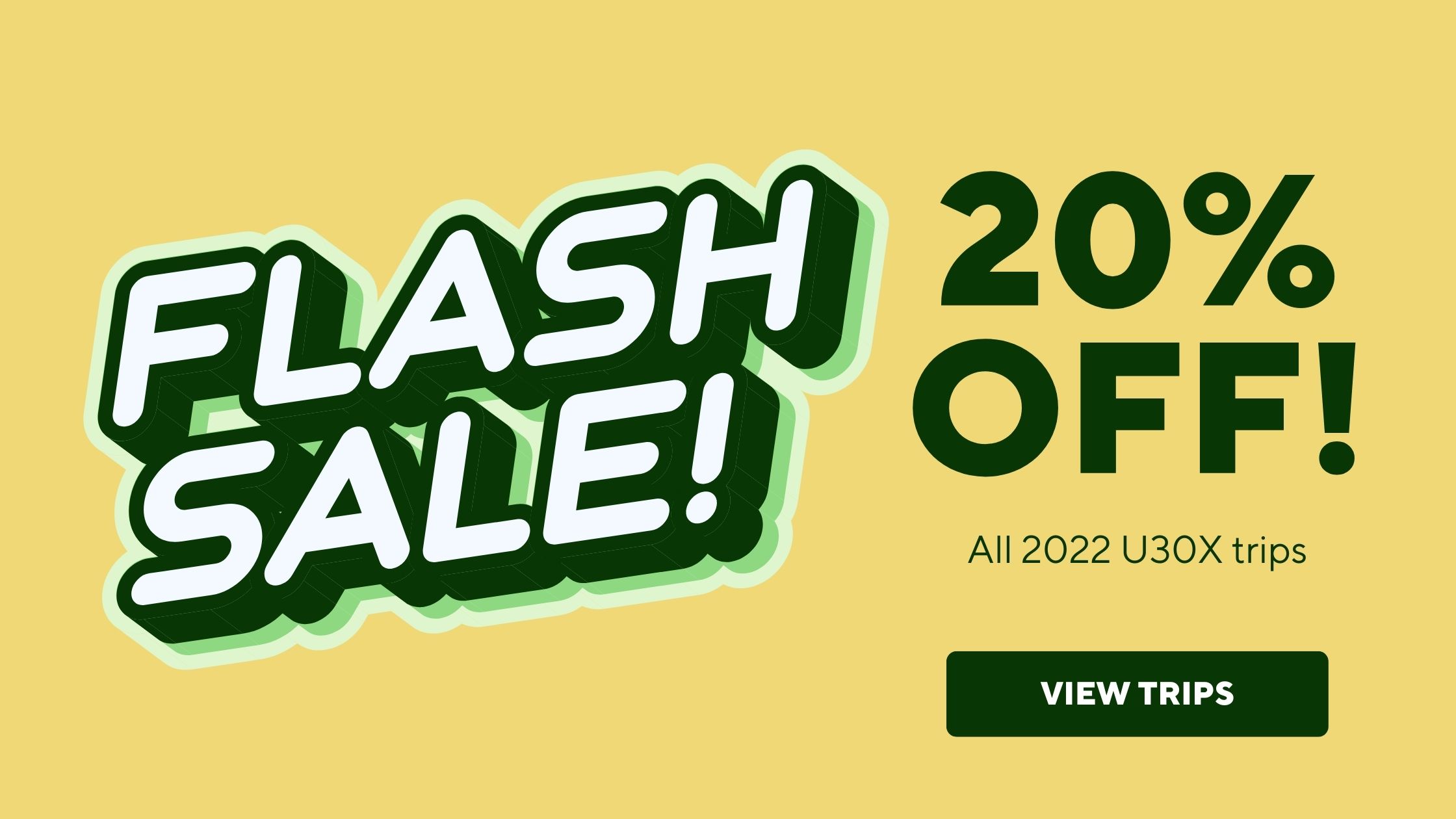 Flash Sale 20% off 2022