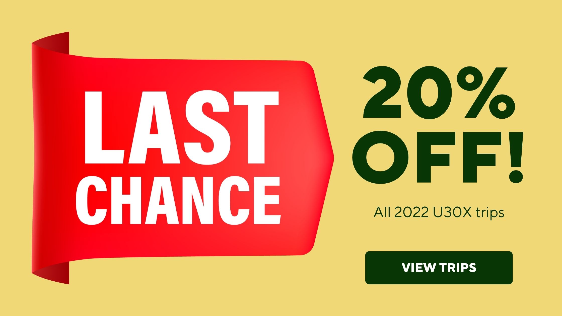 Flash Sale 20% off 2022